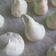 Cooksnap dari TalkingSirius untuk resep Meringue (Kisses) Cookies