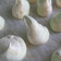 Cooksnap dari TalkingSirius untuk resep Meringue (Kisses) Cookies
