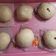 Cooksnap dari Kurnia Nia untuk resep Bakpao Klasik (+tips supaya tidak keriput)