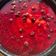 El cooksnap de Caro Zaragosi cuando hizo Cheesecake de frutos rojos (sin horno).