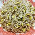 庭秀 的 韓式辣豆芽 cooksnap