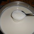Cooksnap από Μαριάνθη στη συνταγή Φτιάχνω σπιτικό γιαούρτι