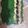 isabel maloum's cooksnap of when they made Easy Cucumber & Tuna Sushi Rolls.