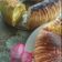 Cooksnap dari Indah Tuwiarsih untuk resep Pandan Woll Roll Bread, trial ke-2, lebih lembut