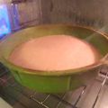 El cooksnap de maria coria cuando hizo Bizcochuelo Casero.