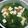 Cooksnap dari tanti widyasari untuk resep Sayur Bening Sawi & Tahu