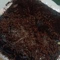 Cooksnap dari BayuPrameswari untuk resep Brownis oreo kukus
