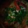 Cooksnap dari RonaCute untuk resep Sup udang galah
