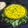 Heejal Pandya's cooksnap of when they made મેથી ની કઢી (Methi Kadhi Recipe In Gujarati).