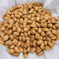 Cooksnap dari Any Tri untuk resep Kacang Bawang Gurih Renyah