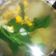 Cooksnap dari Megha Silvia untuk resep Sayur bayam a.k.a jangan kunci 🚫🔑