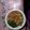 George Kamau's cooksnap of when they made Tasty Githeri.