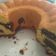 Cooksnap dari reny taibong untuk resep Bolu remeng bangka / marmer cake / marble cake