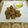 Shobha Rathod's cooksnap of when they made Ponk Wada/ Fresh Shorgum Pakora.