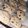 El cooksnap de Mariana Teske cuando hizo Galletas de avena con manzana.