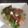 El cooksnap de Lucia Barboza cuando hizo Fatush.