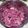 M's cooksnap of when they made Quick pickled onions.