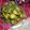 Kiran Asghar's cooksnap of when they made Alu Mongray.