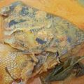 Cooksnap dari Linda Tanzil untuk resep Gulai Kepala Kakap ala minang
