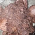 Cooksnap dari wiwik_set untuk resep Gudeg Yogya Asli (pakai daun jati)
