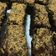 Cooksnap dari Amrita untuk resep Brownies panggang simple