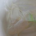 Cooksnap dari Humairoh Ummu Shofiyyah untuk resep Home made whip cream