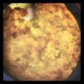 MaMaLette21's cooksnap of when they made Santa Fe egg omelet.