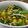 Cooksnap dari Bella Kristin untuk resep Tumis kangkung jagung manis