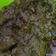 Cooksnap dari Aryanah untuk resep Rendang Daging