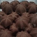Cooksnap dari Andi Enny Laundu untuk resep Kue Sakura Karamel