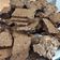 El cooksnap de Camila Nicole cuando hizo Brownies Súper fáciles !.