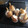 El cooksnap de juani Gernika cuando hizo 3 postres para Navidad rápidos, fáciles y muy económicos.