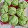 Cooksnap dari Hani Noviani untuk resep Bolu kukus nutrisari atau sirup coco pandan
