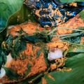 Cooksnap dari Jennisye asmiasrie untuk resep Pepes Nila Kemangi 🍽️