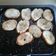 El cooksnap de Maria Molina cuando hizo Tostadas sabor a orégano.