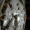 El cooksnap de Besy Marquez cuando hizo Tarta de acelga.