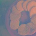El cooksnap de agustina cuando hizo Galletitas super rápidas.