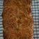 Cooksnap dari Selly Kangtze untuk resep Roti Kentang Keju (Cheesy Potato Bread)