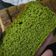Cooksnap dari MAMA EKA untuk resep Castella Green Tea aka Kasutera - Traditional Japanese Honey Cake