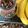 Indie's cooksnap of when they made Choc Buckwheat Healthy Granola.