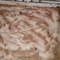 El cooksnap de Paola cuando hizo Brownie Con Nescuik.