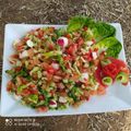 مطبخ كريمة داركم 🏡 Cuisine Karima Maison's cooksnap of when they made سلطة مشكلة 🥗🥗🥗 مع الفجل.