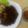 Cooksnap dari Nijah Ariandi untuk resep Ayam goreng lengkuas