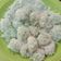Cooksnap dari REVA SEPTIA untuk resep Klepon Tepung Ketan