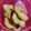 El cooksnap de Milagros Gomez cuando hizo Tortas fritas saladas.