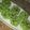 Cooksnap dari daisy_smg untuk resep Bolu Kukus Pandan Meses