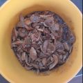 Cooksnap dari Nia Agustina untuk resep Ayam suwir teriyaki