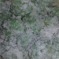 Cooksnap dari Uswatun Hasanah untuk resep Klepon