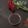 کوک اسنپ الهه بانو بعد از امتحان کردن طرز تهیه گاناش بدون خامه و شیر برای کیک.