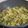 El cooksnap de Noelia cuando hizo Arroz con setas y calabacín en salsa de soja.